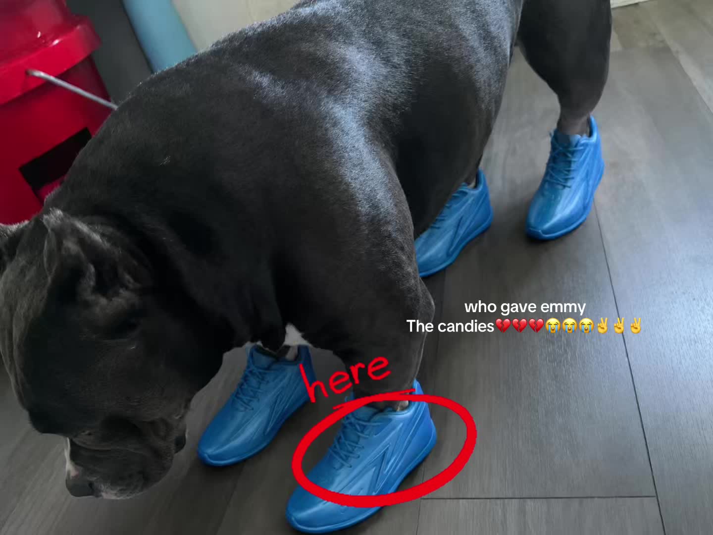 @⃟ 👀