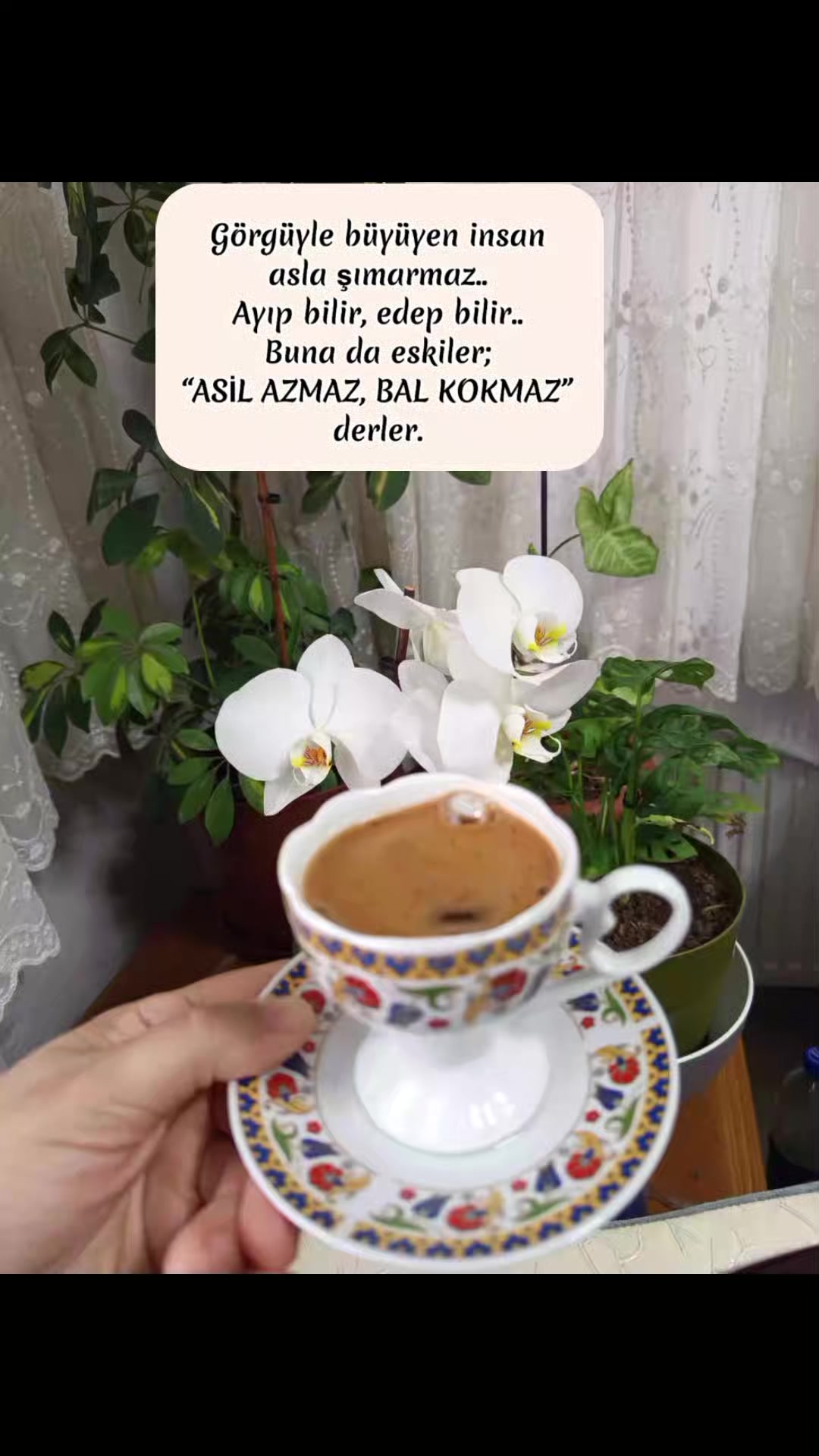 @Ayşe ❤️sedat