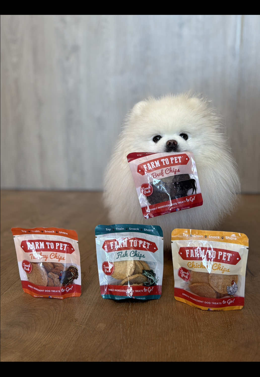 @lil.fluff.ball_mochi