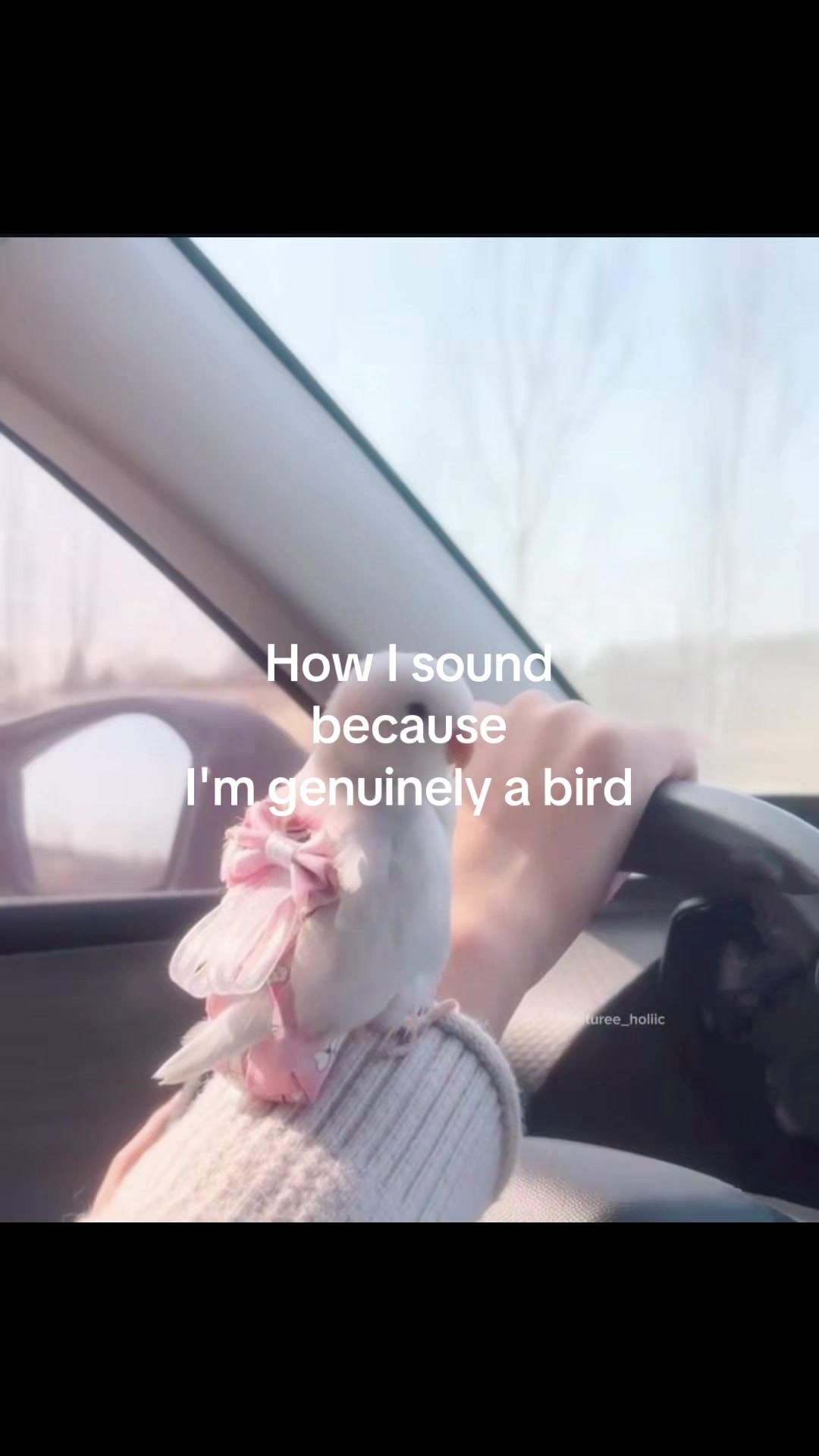 @knottoday