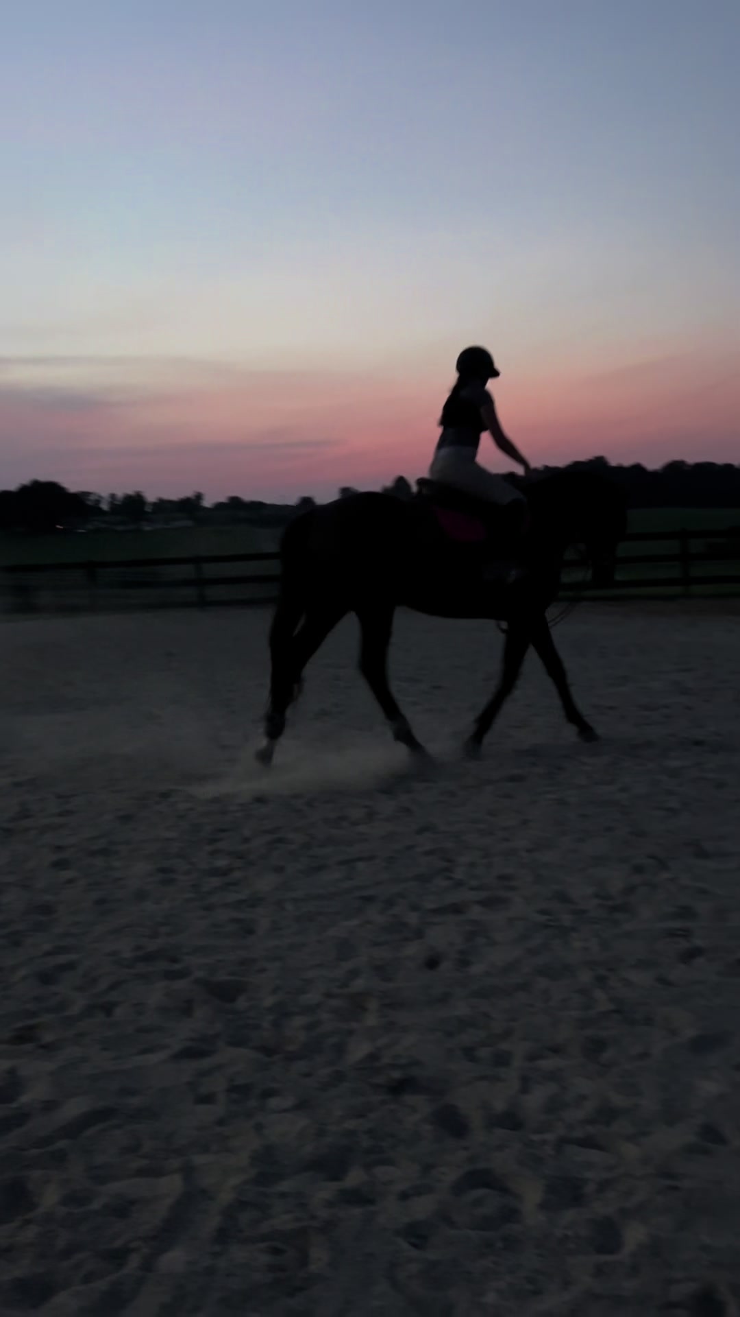 @Aftyn 🐎