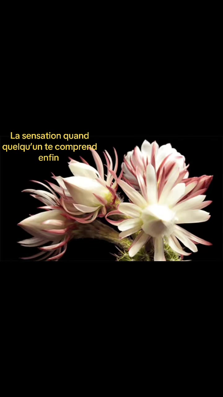 @Compte.prv
