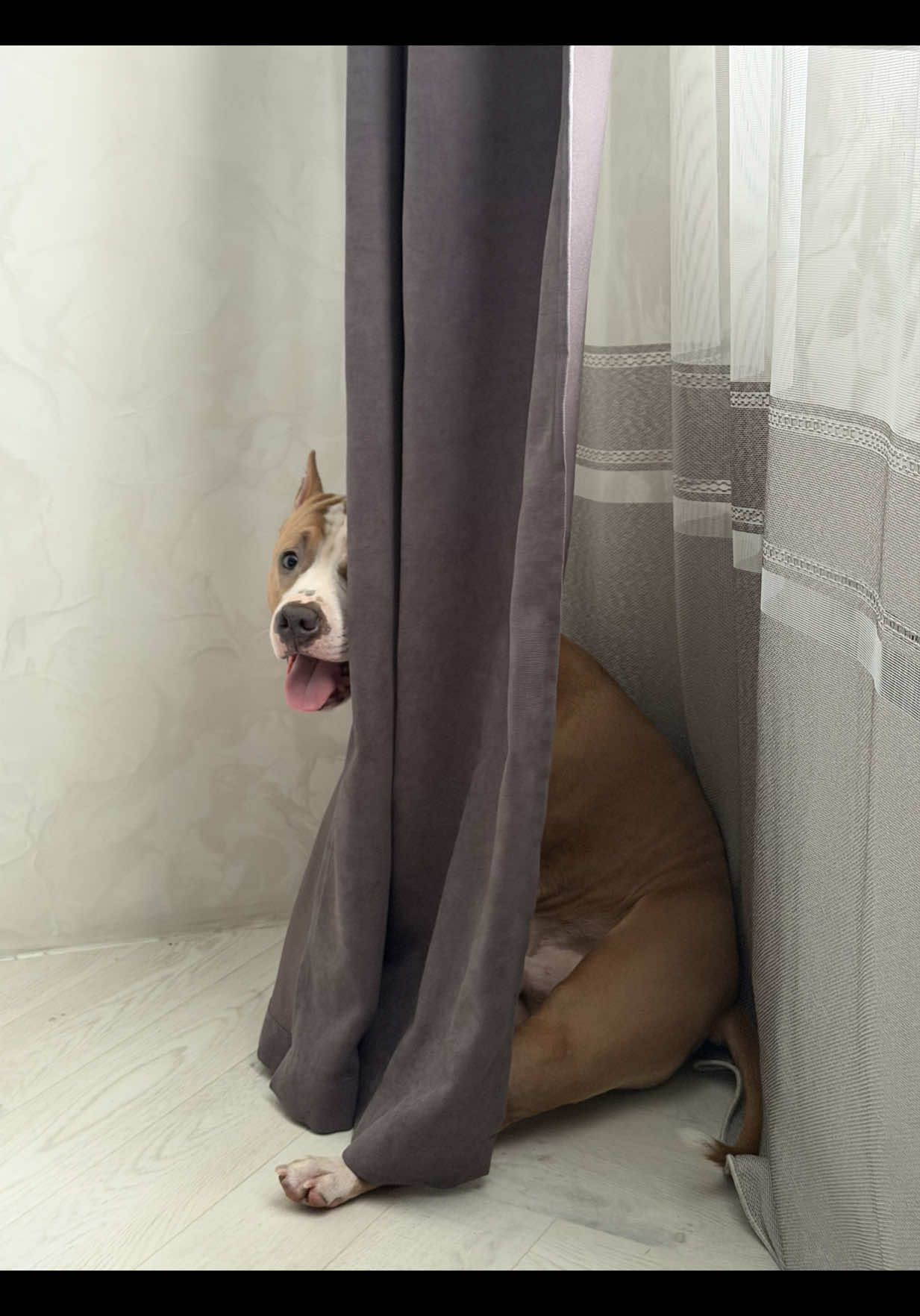 @🐾 ʀᴀɢɴᴀʀ sᴛᴀꜰꜰ 🐾