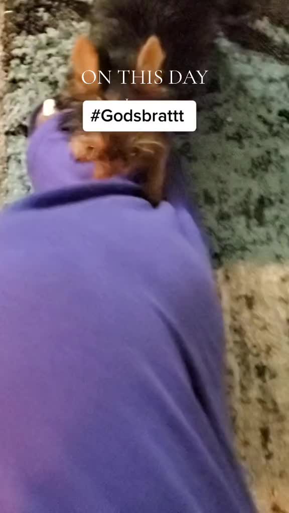 @💜🦋Godsbratt💜🦋