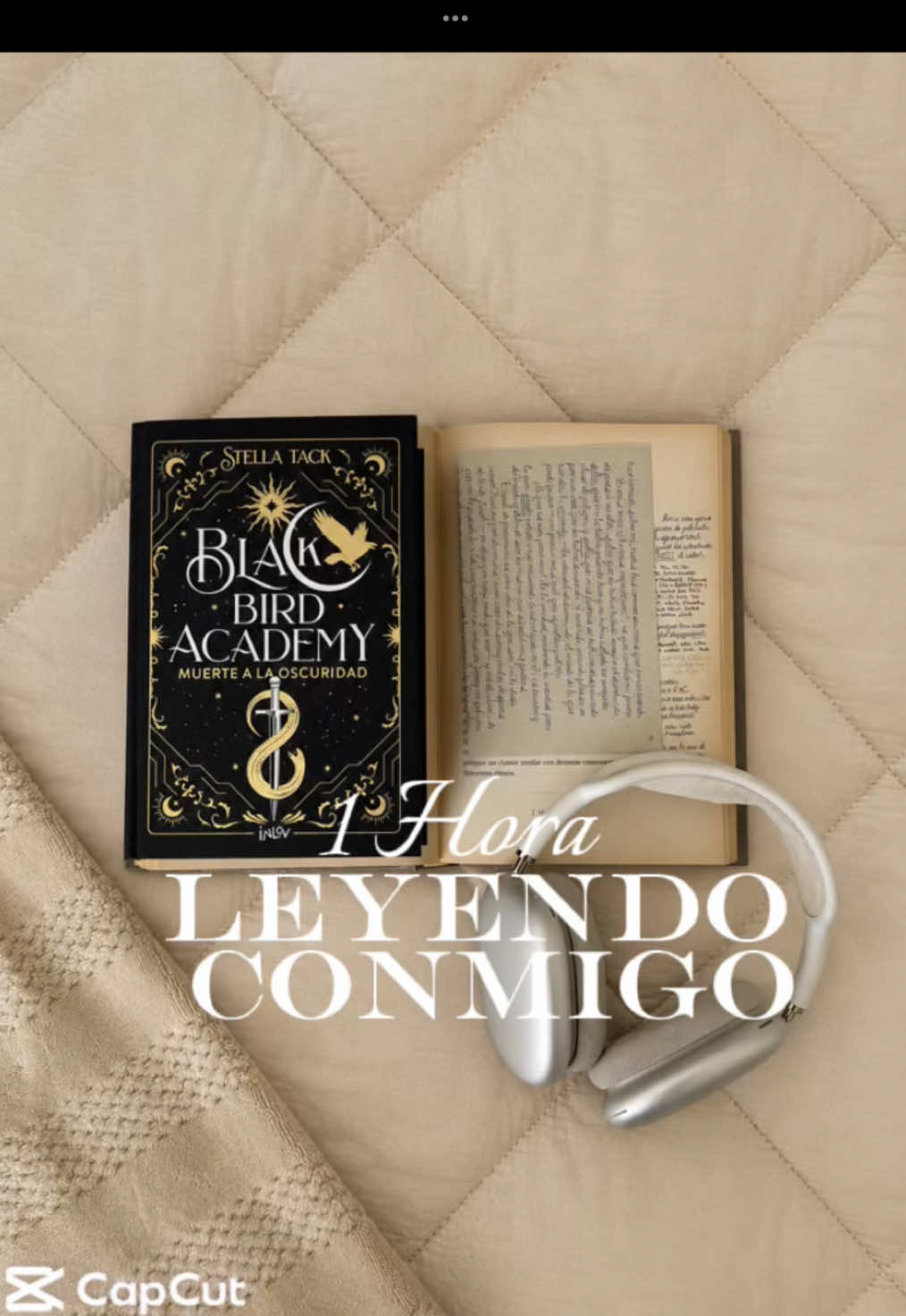 @luciashelff📖