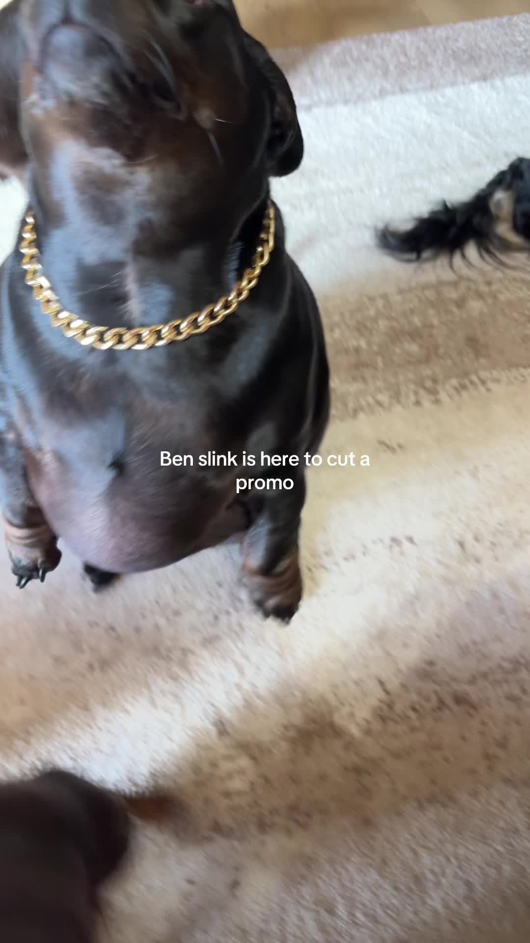 @BenSlinkdawg