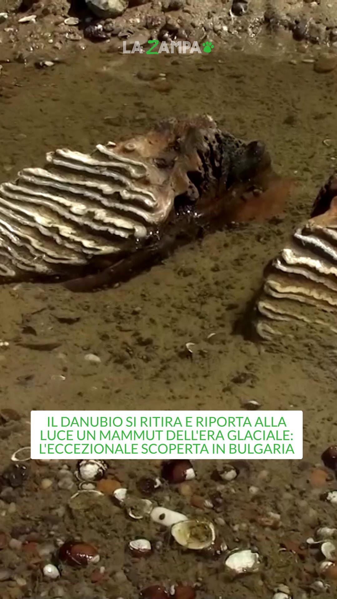 @la.stampa