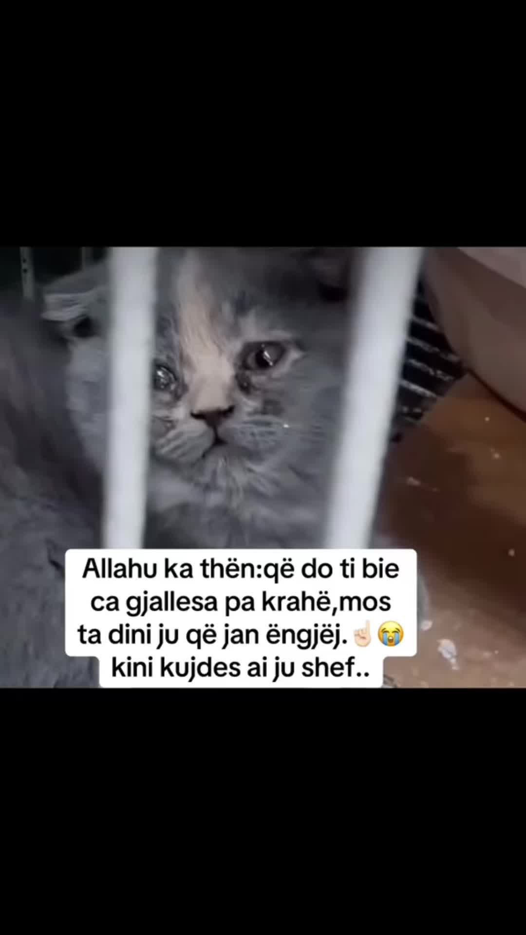 @Vdes per këto te dyja😻😻
