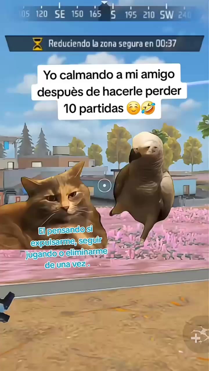 @tigrillo_mx