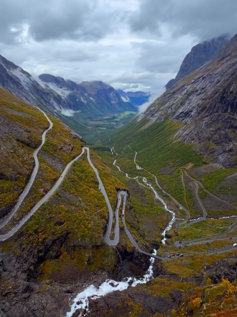 @MountainBOY🇳🇴🇨🇭🇦🇹🇵🇰