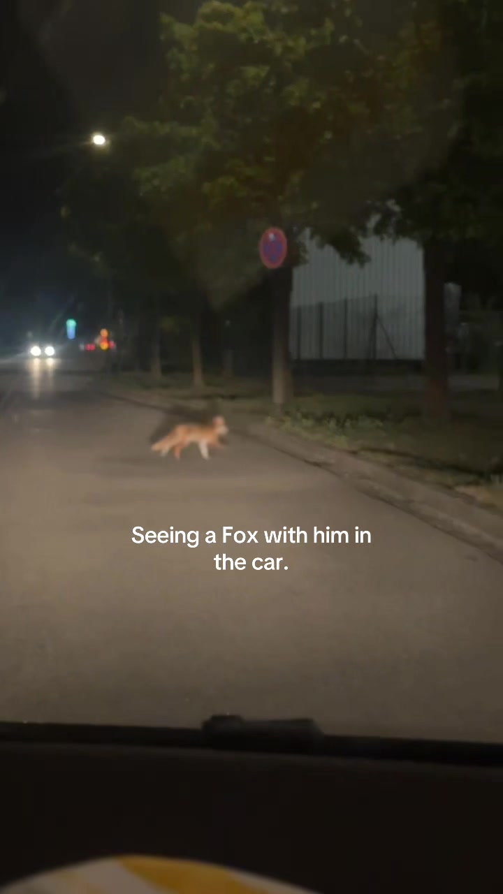 @𝓃