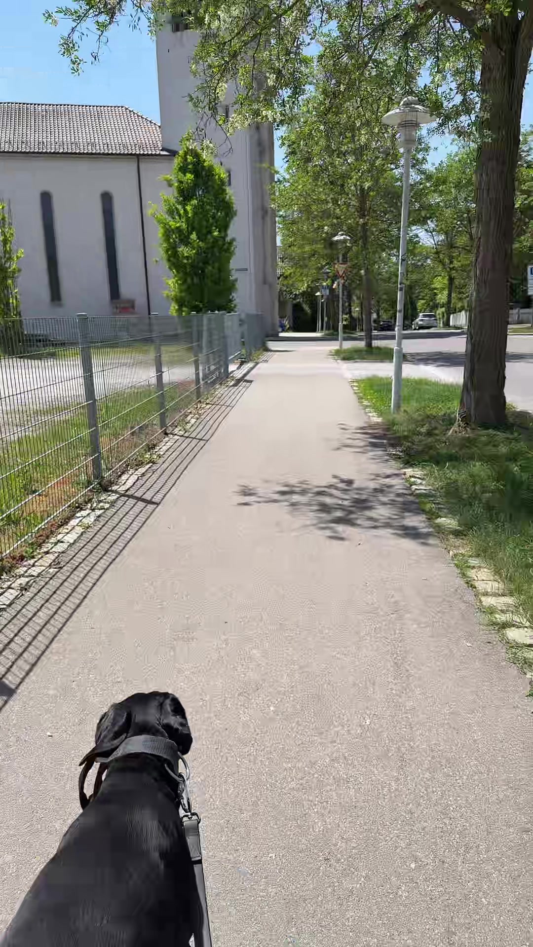 @Man&hisDobermann