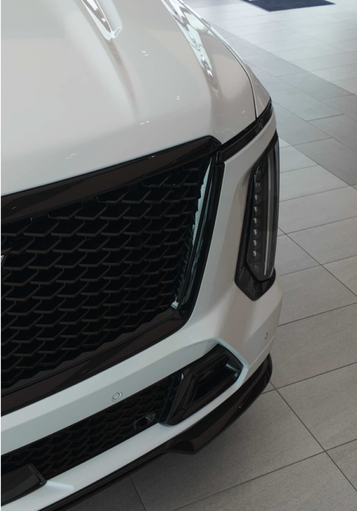 @Cadillac from Ty