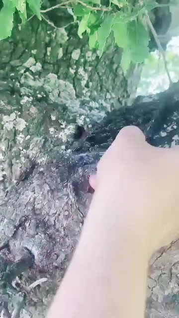 @gökhan basıc