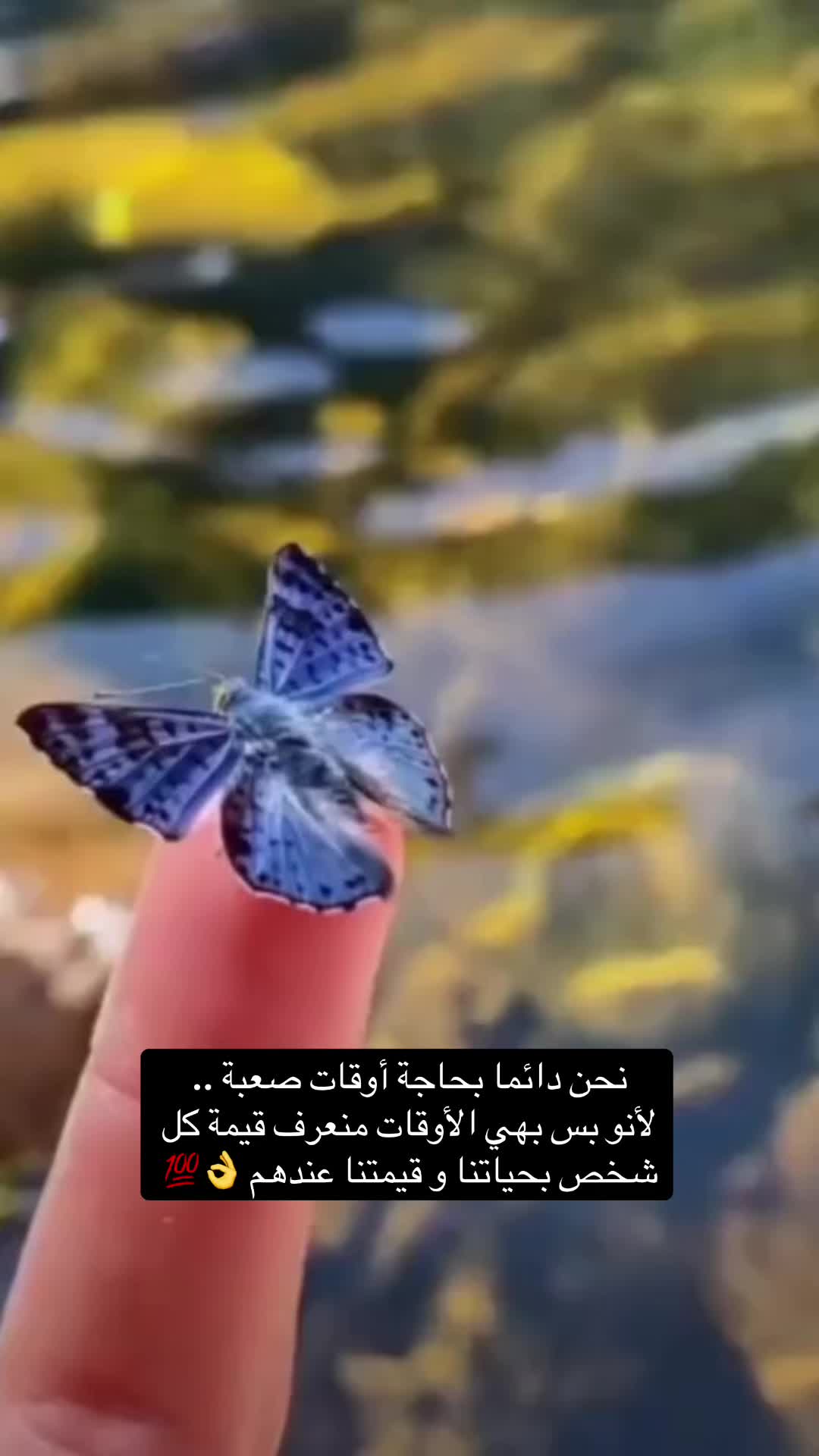 @نيڤين السيد🍃🩷