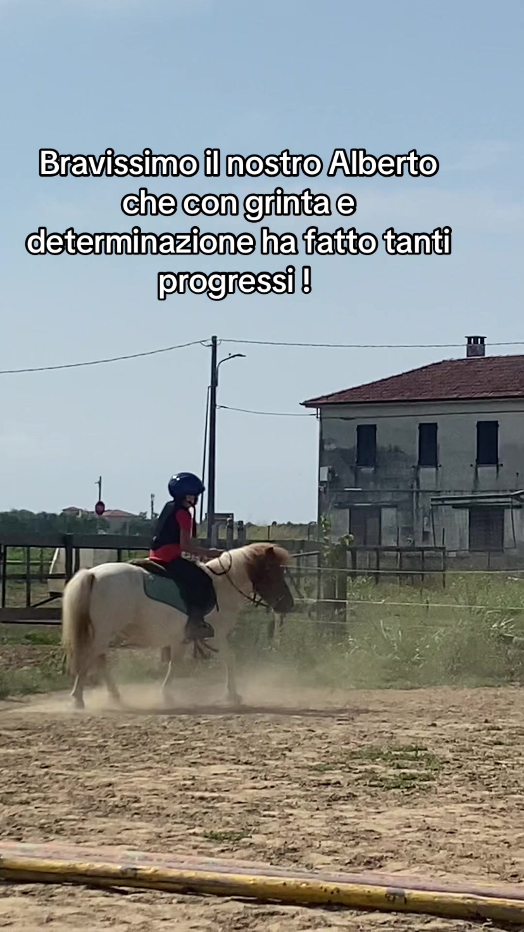 @Ponyclubilgattoelavolpe