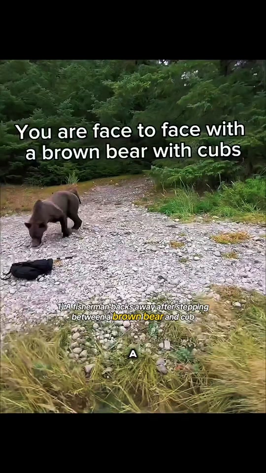 @WildwonderzZzz