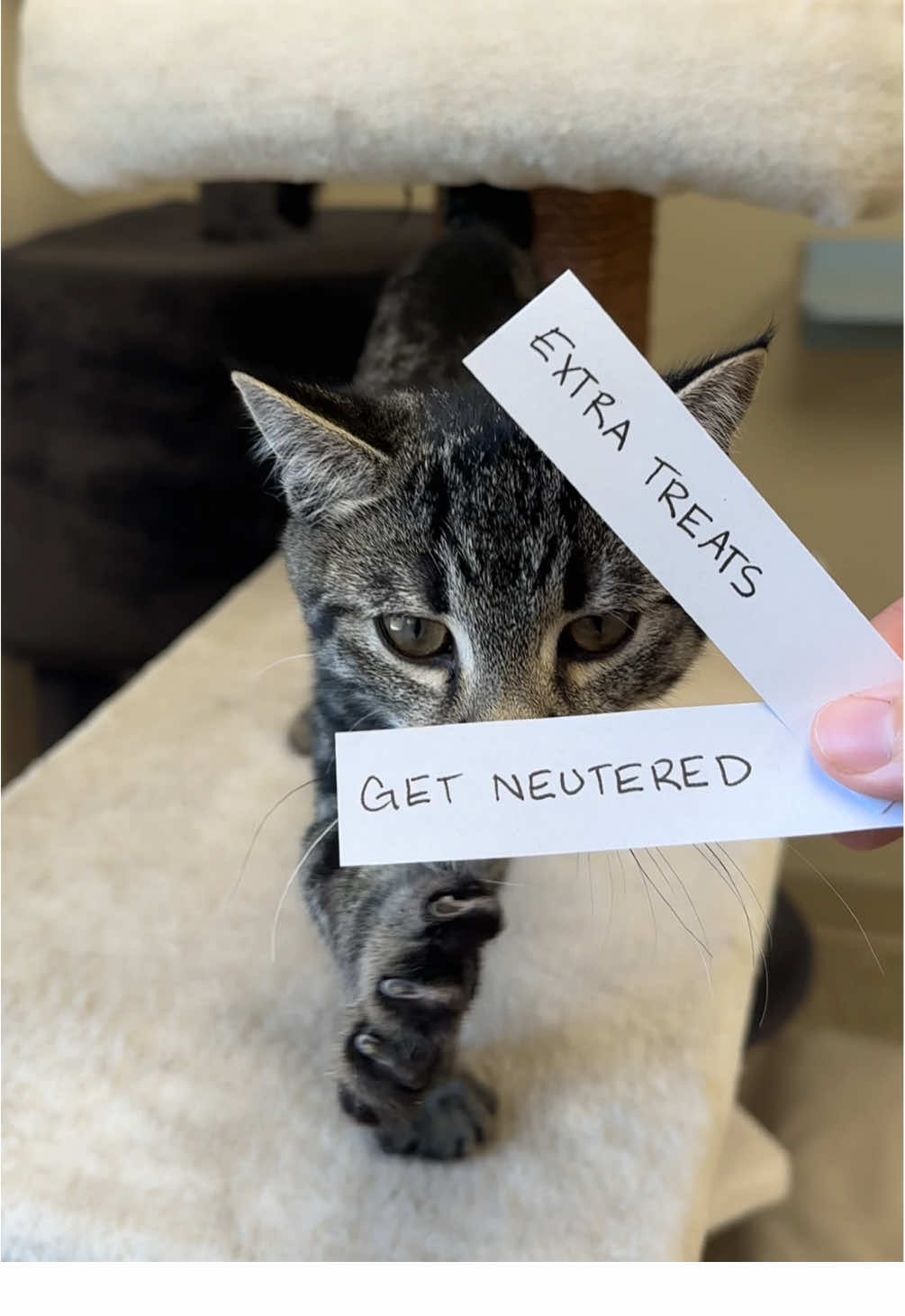 @Bide Awhile Animal Shelter