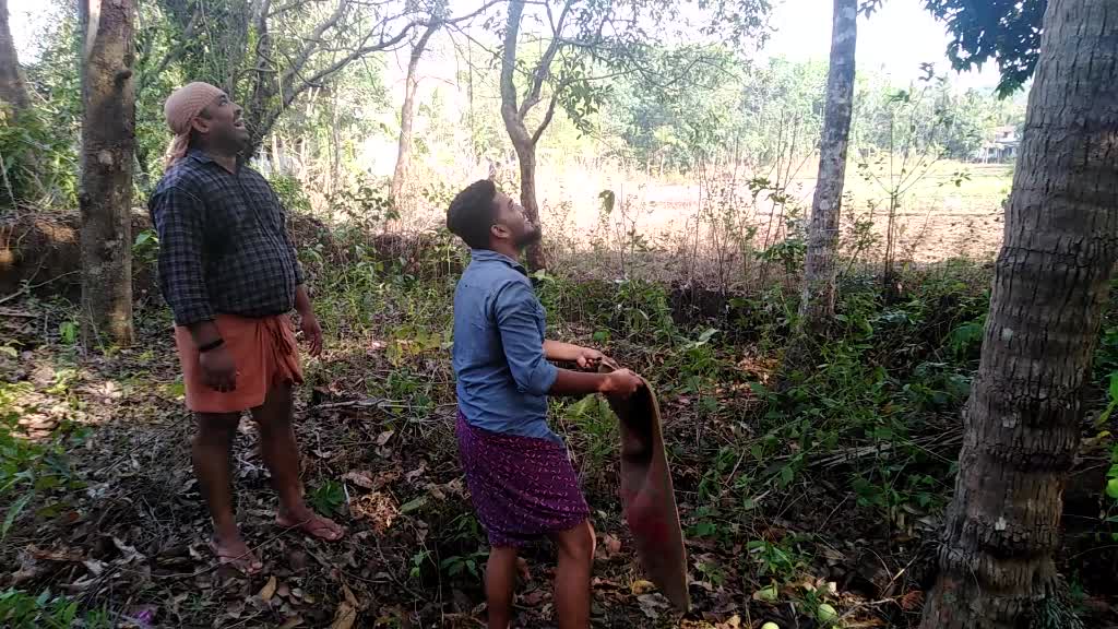 @കാശിനാഥൻ