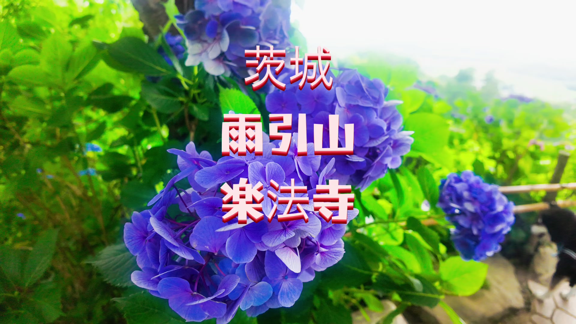 @マユカペンマユカペン