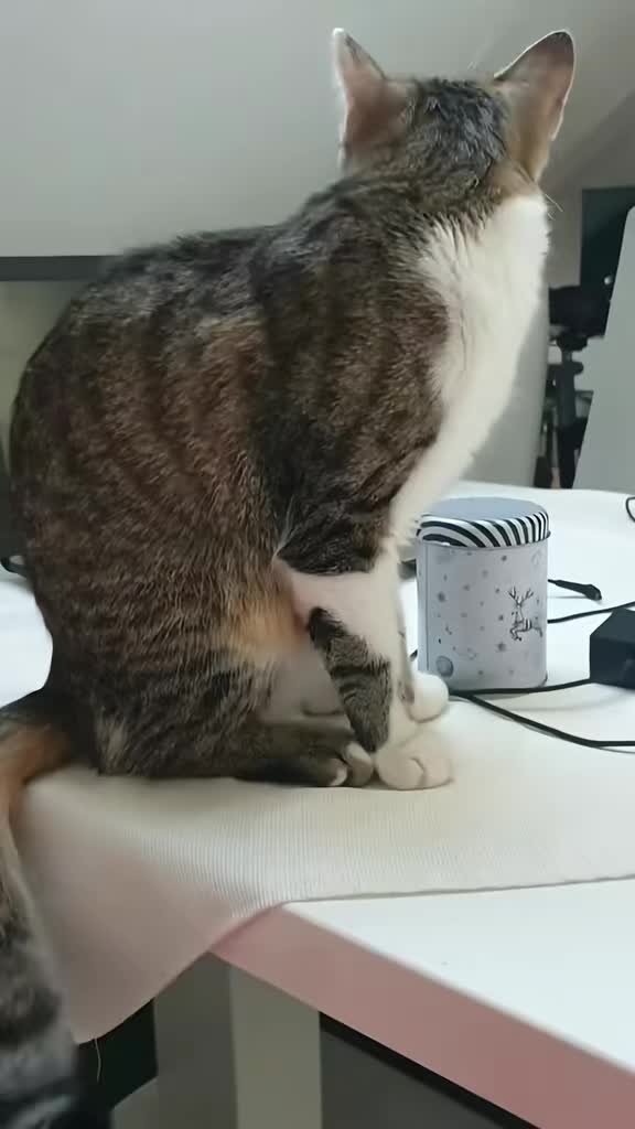 @Minnoş❤💙61
