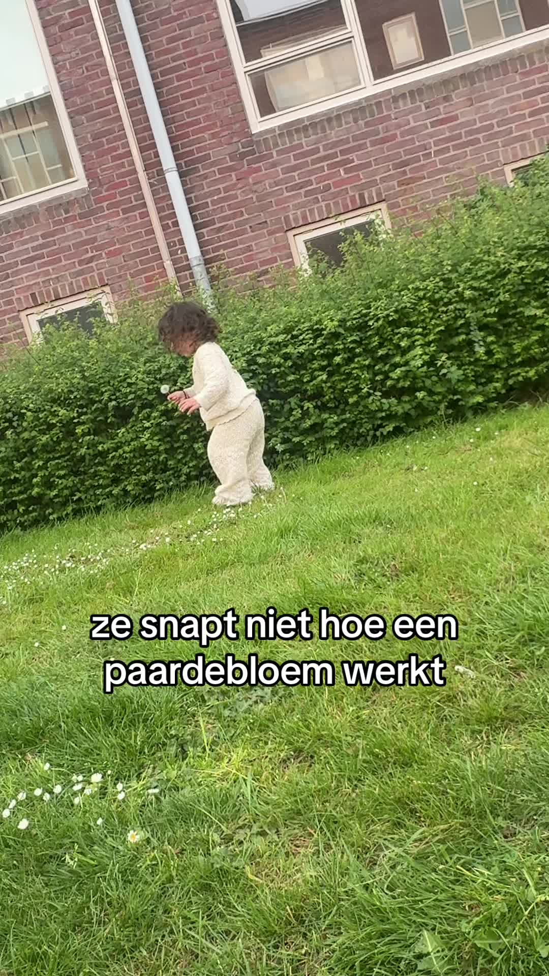 @Elise schulpzand