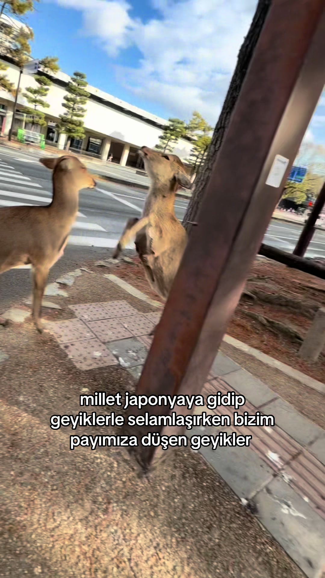 @simay