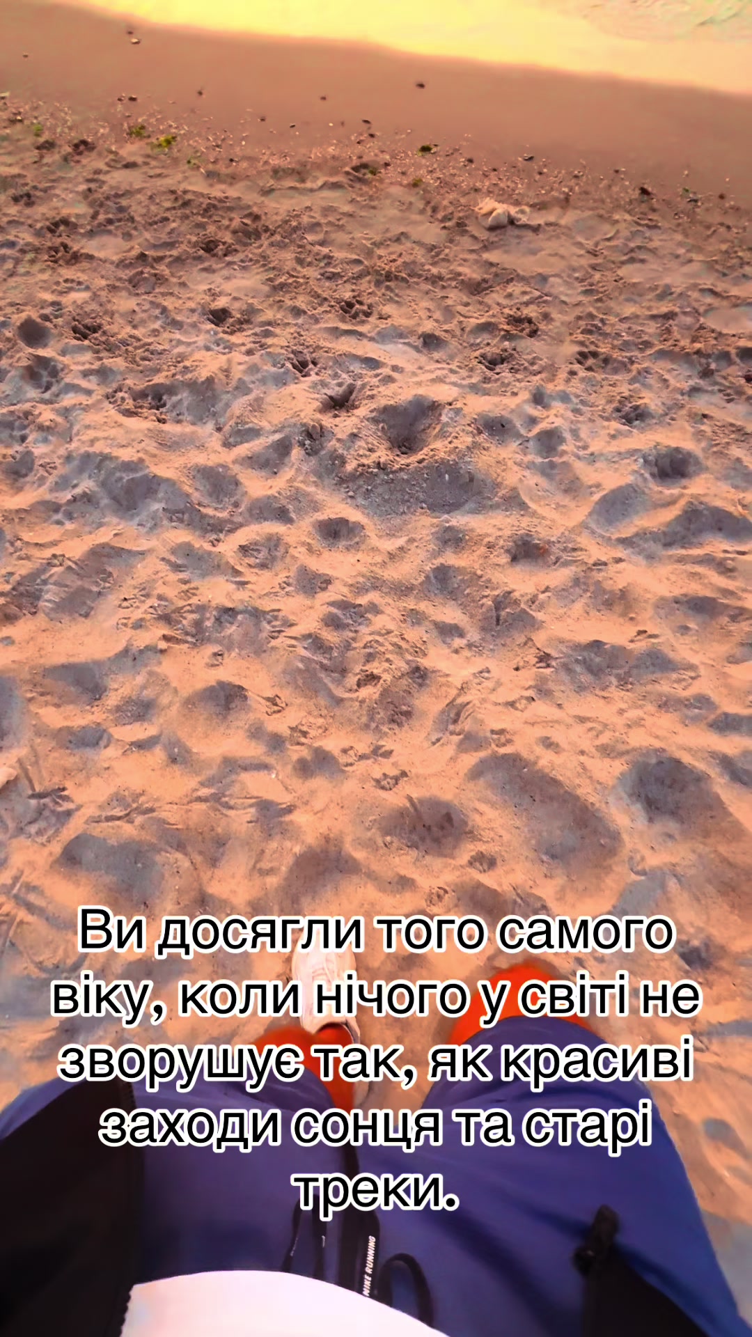 @s.a.s.h.a7.7.7