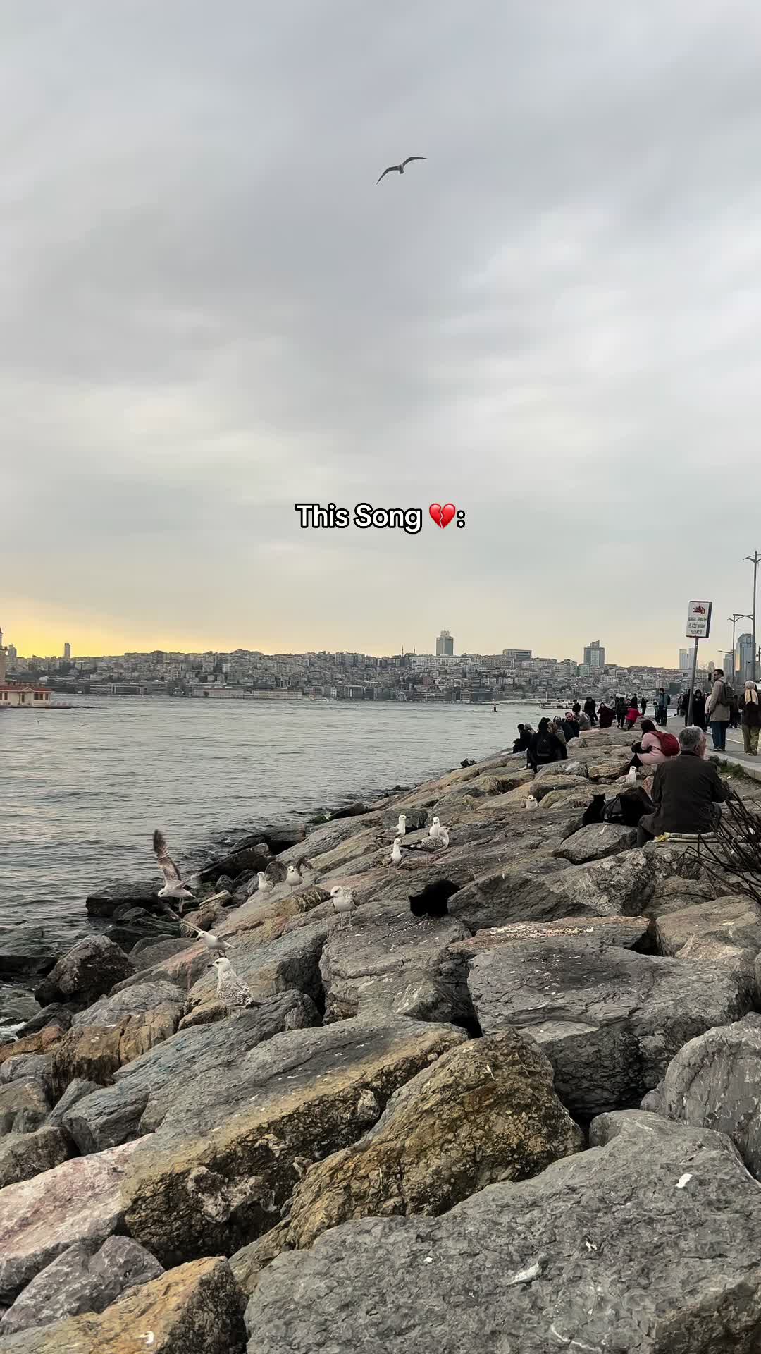 @lulu na