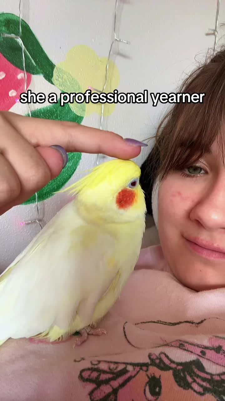 @✨💫𝑅𝒶𝓎𝓎𝓎💫✨