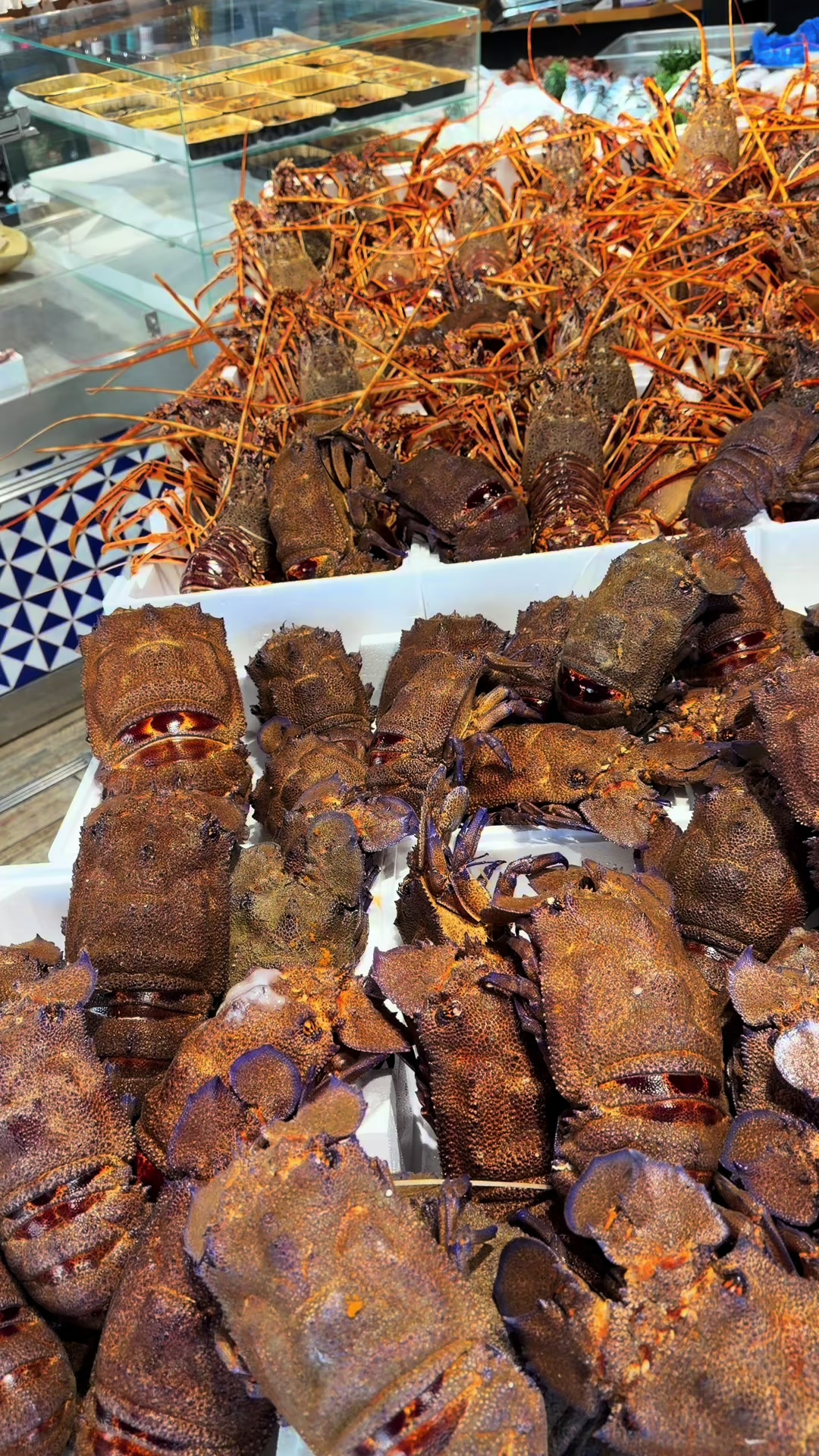 @Pescheria nautilus ostuni