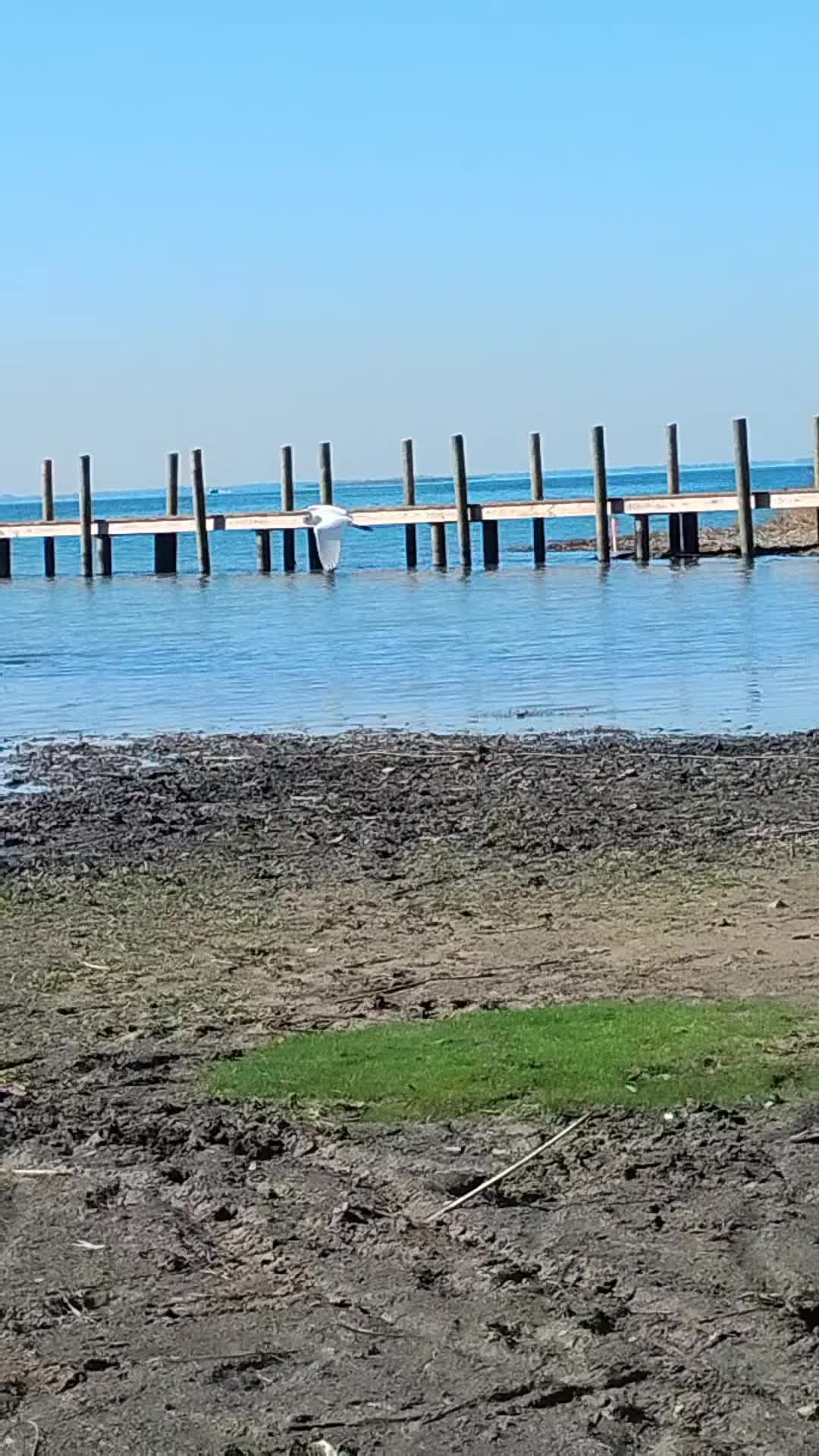 @...