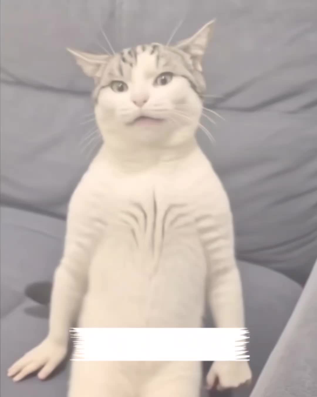 @My funny video
