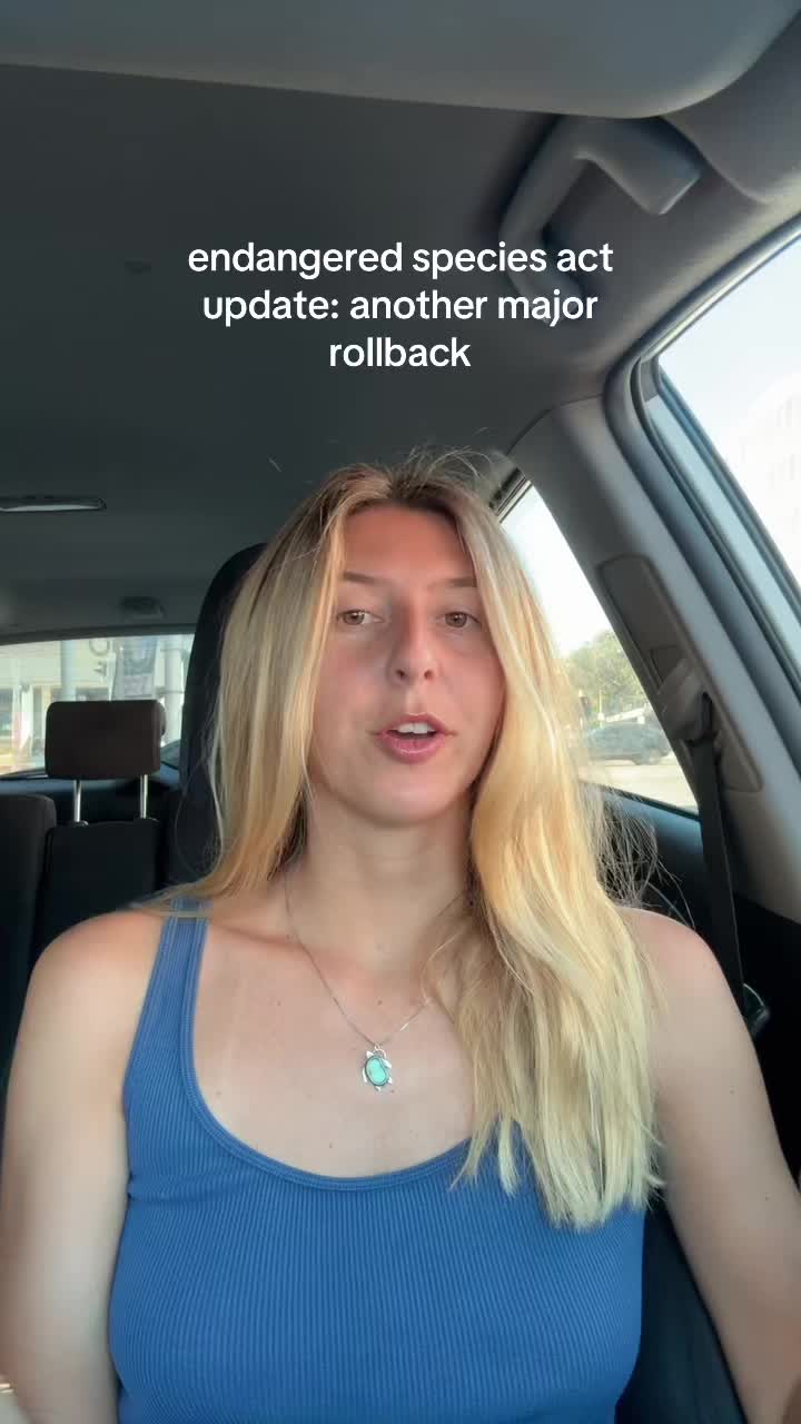 @maddy mermaid