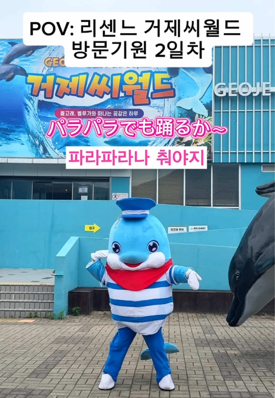 @DolphinTok