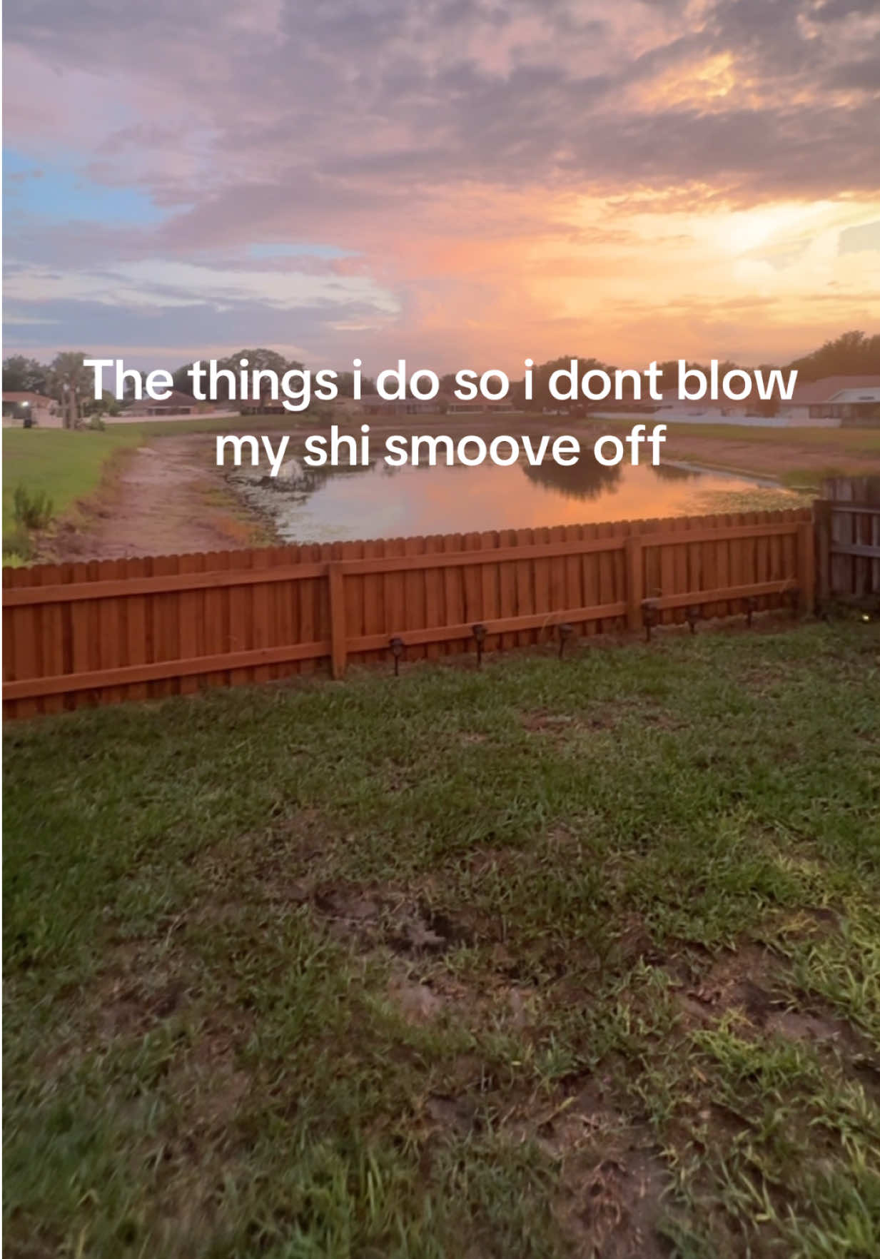 @KingFlvcko5L