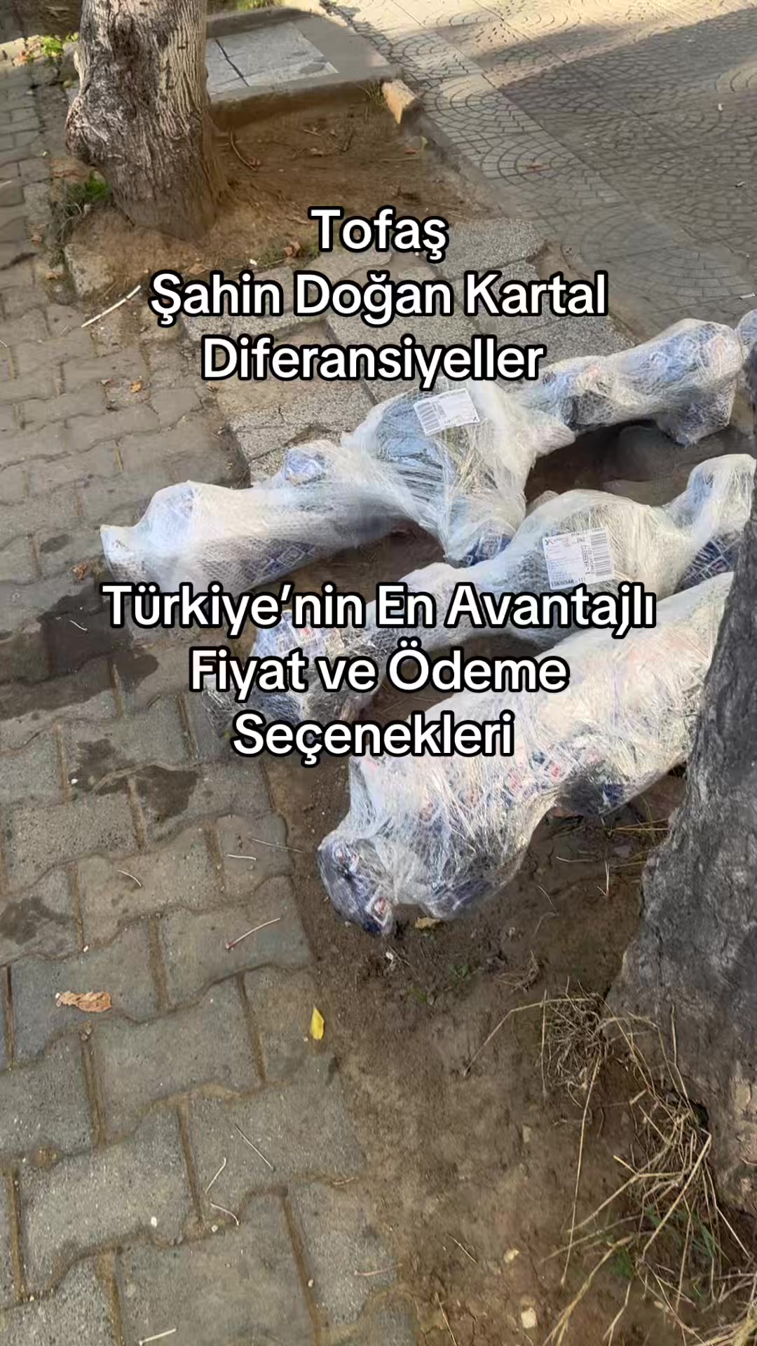 @secgindefransiyel