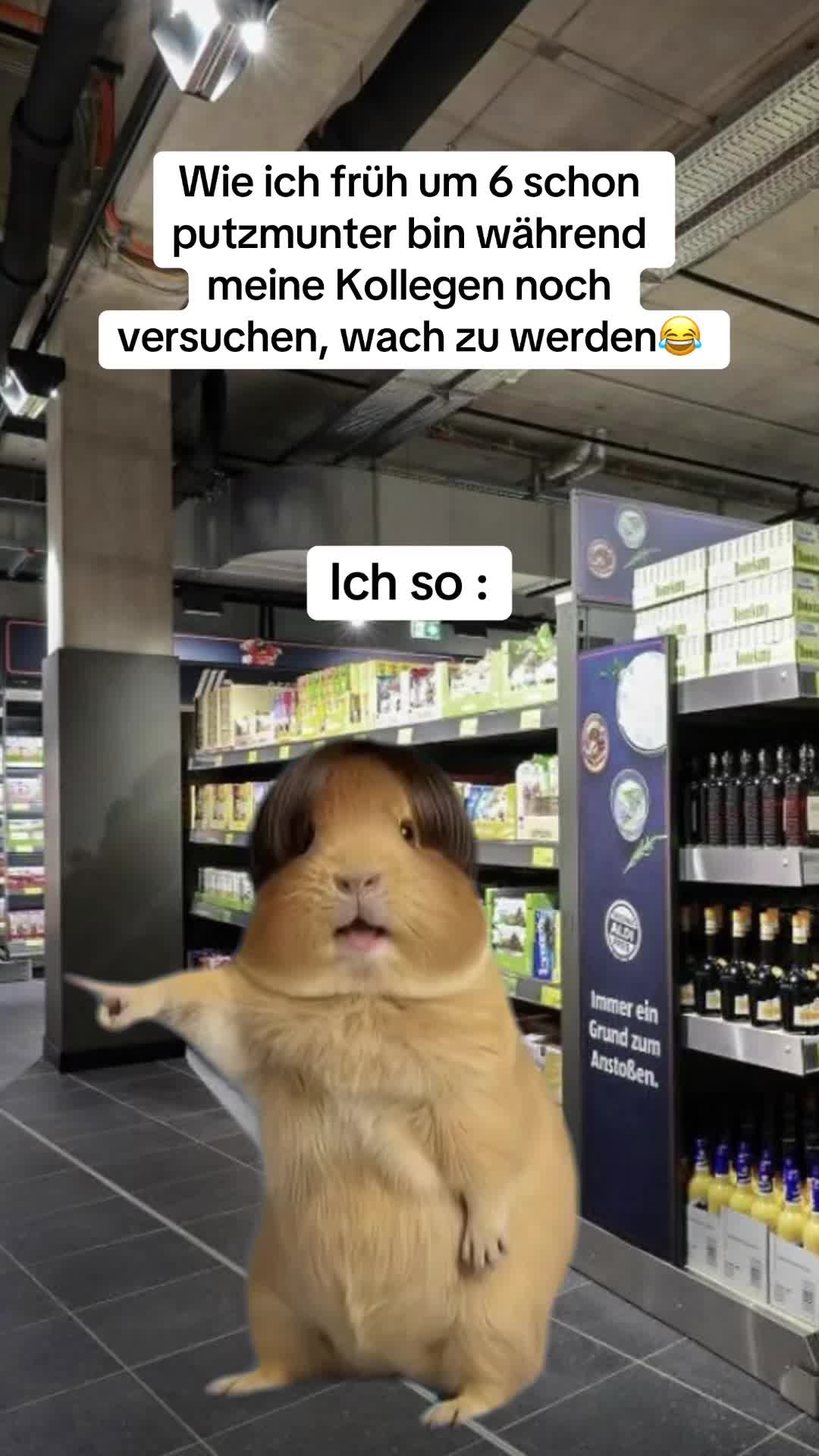 @Nicole