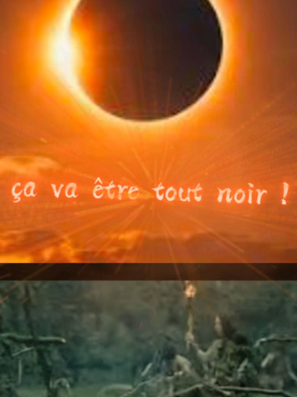 @Le Corbeau