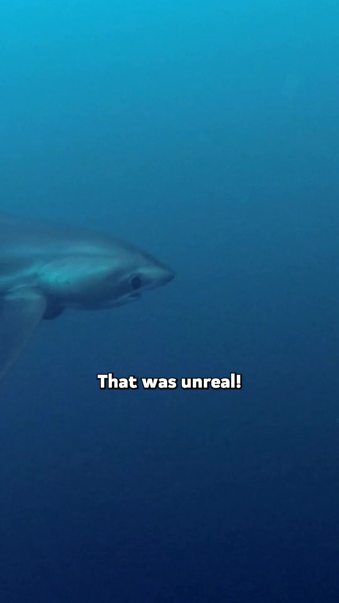 @Discovery