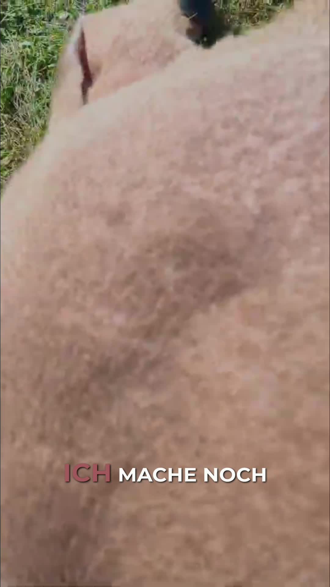@Vitomalia