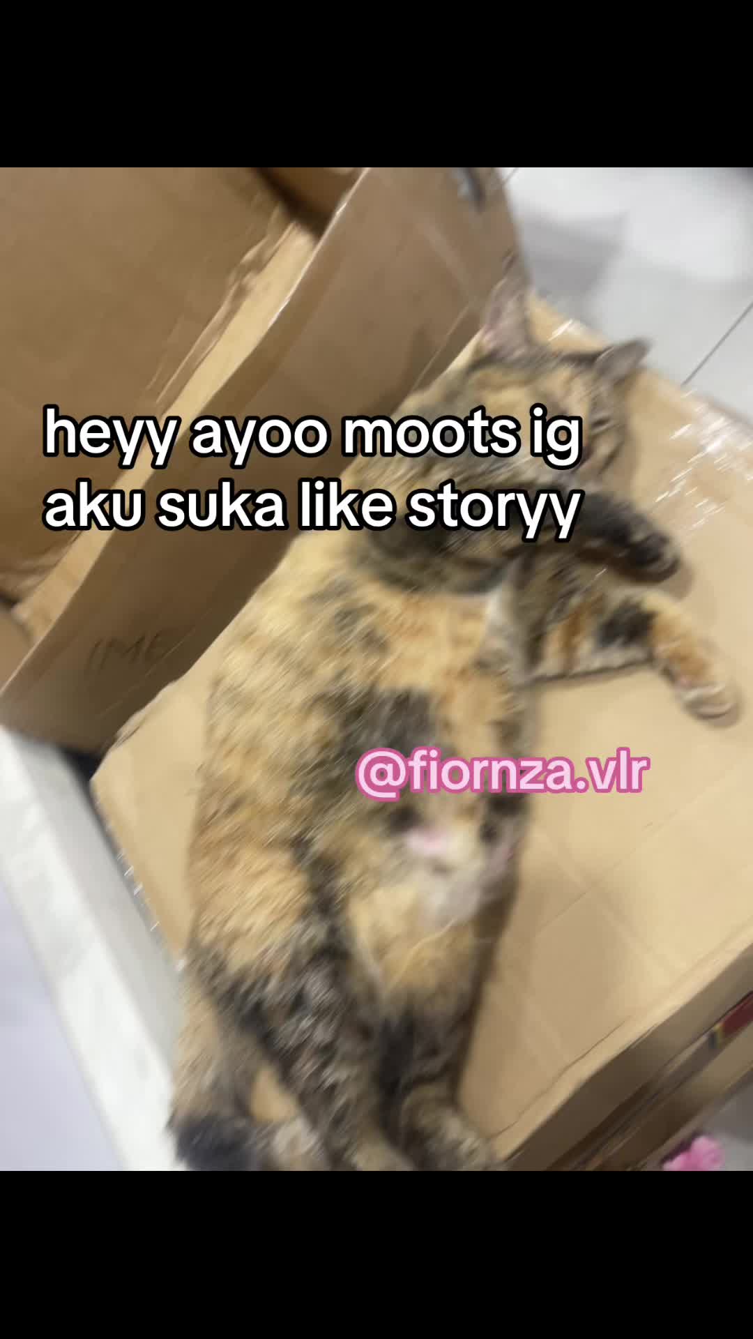 @lun.