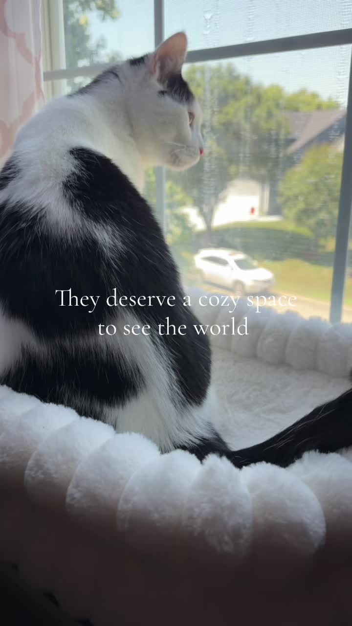 @K E L L S