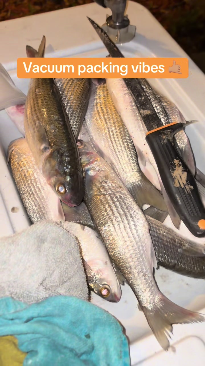 @BeaufortSC_Bait