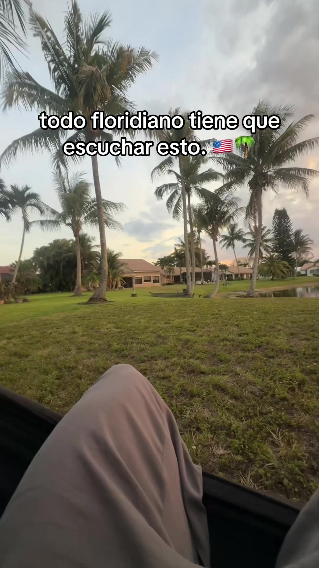 @mendiolaenusa