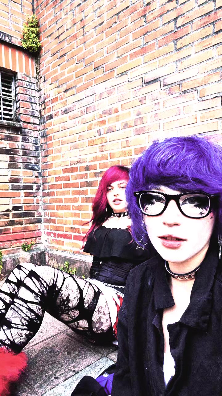 @the_last_meow