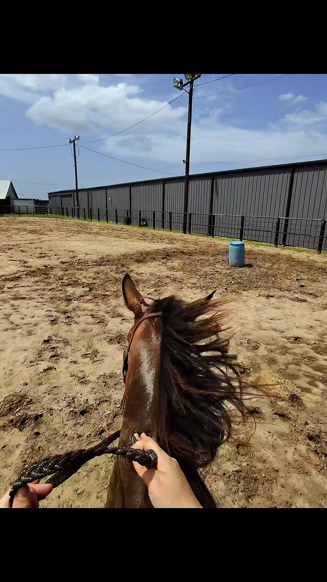 @โโฏ๐๐พ๐พ๐พ๐พ ๐๐ถ๐๐