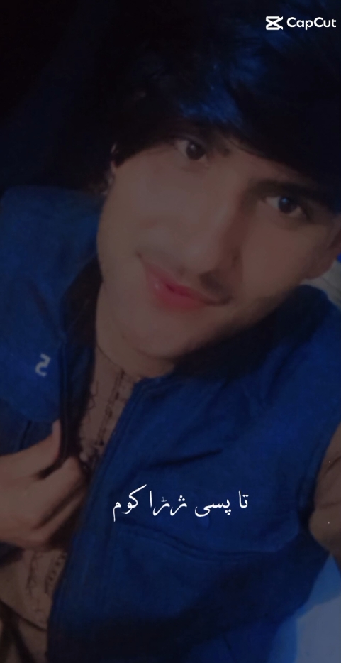 @shahinbaghalani8
