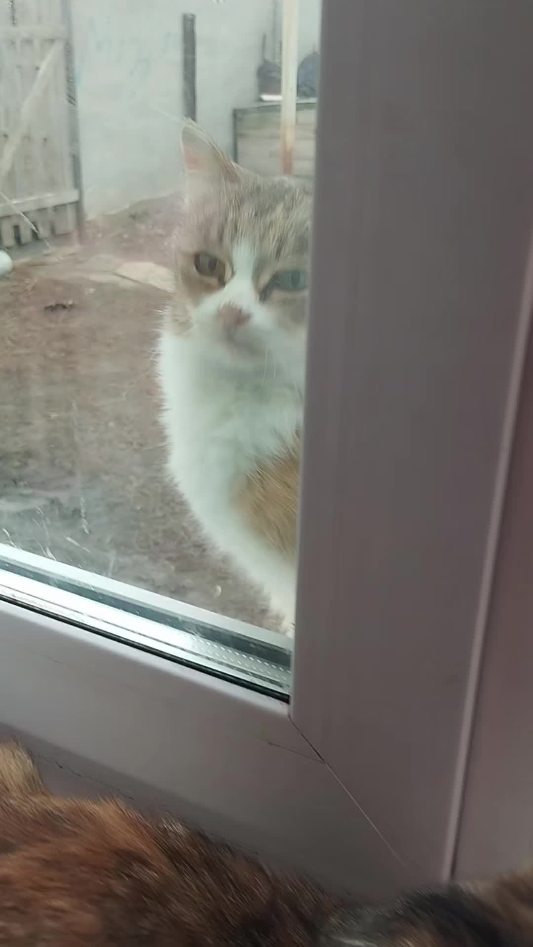 @Про100_мамо4ка