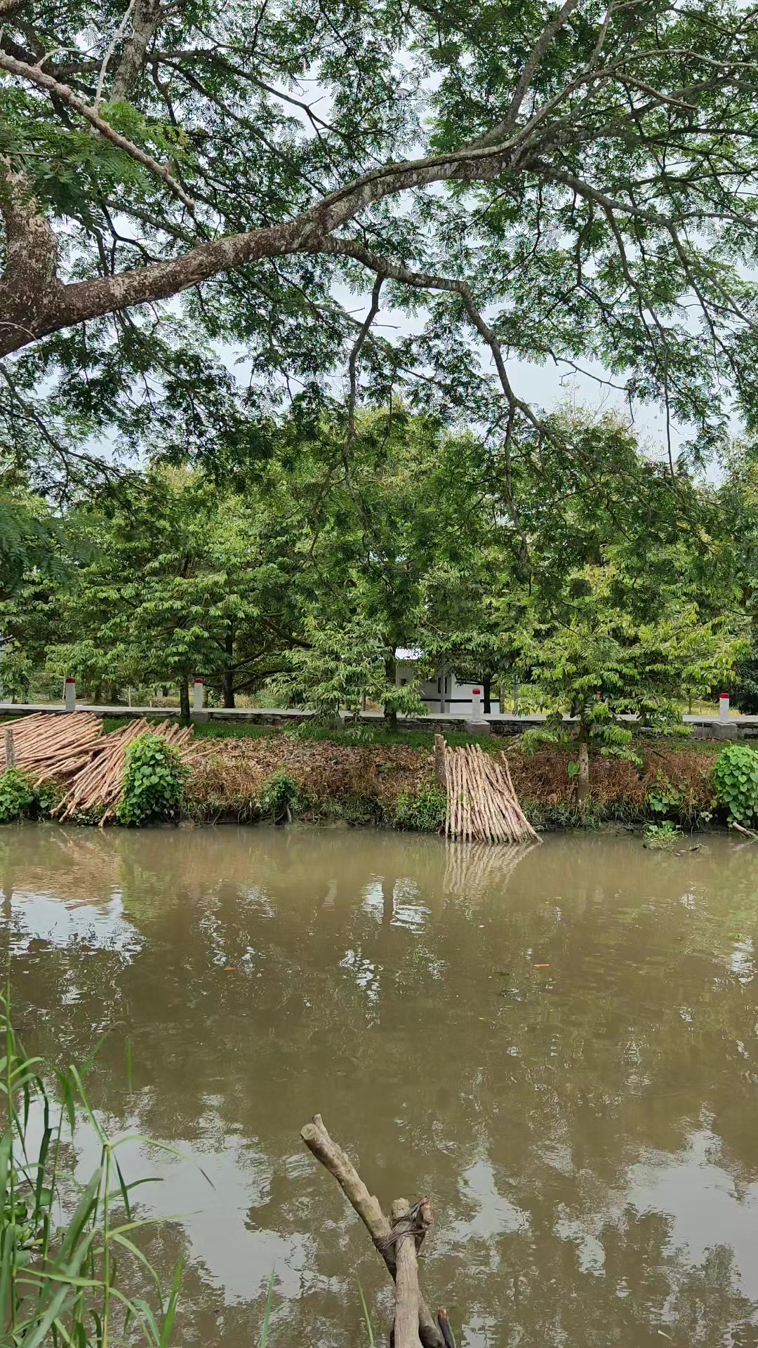 @Bất Động Sản Cần Thơ
